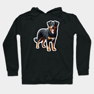 Beauceron Hoodie